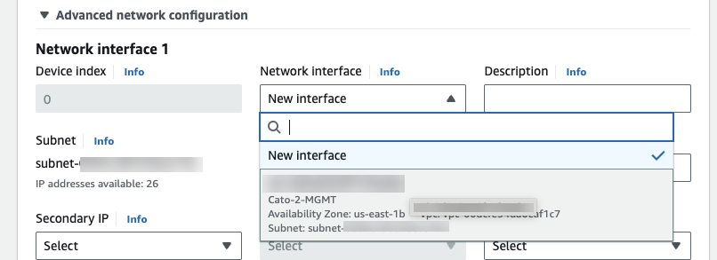 AWS_vSocket_Cato_AMI_advanced_network_config.png