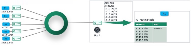BGP_without_Summary.jpg