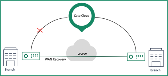 WAN Recovery.png