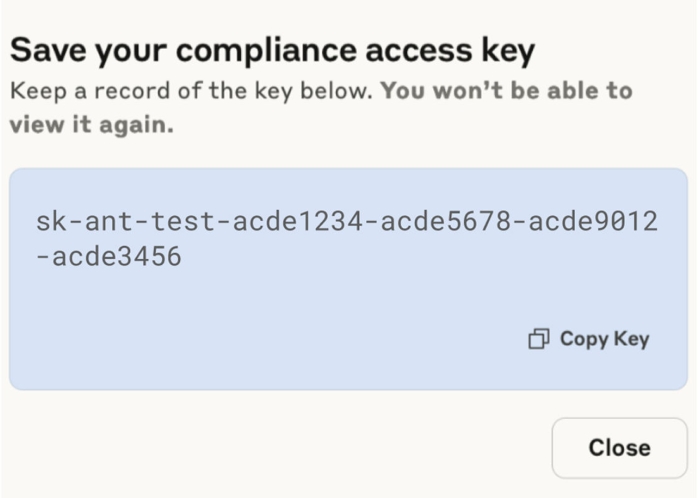 anthropic_save_key.png