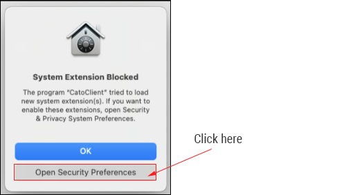 System_Extension_Blocked.png
